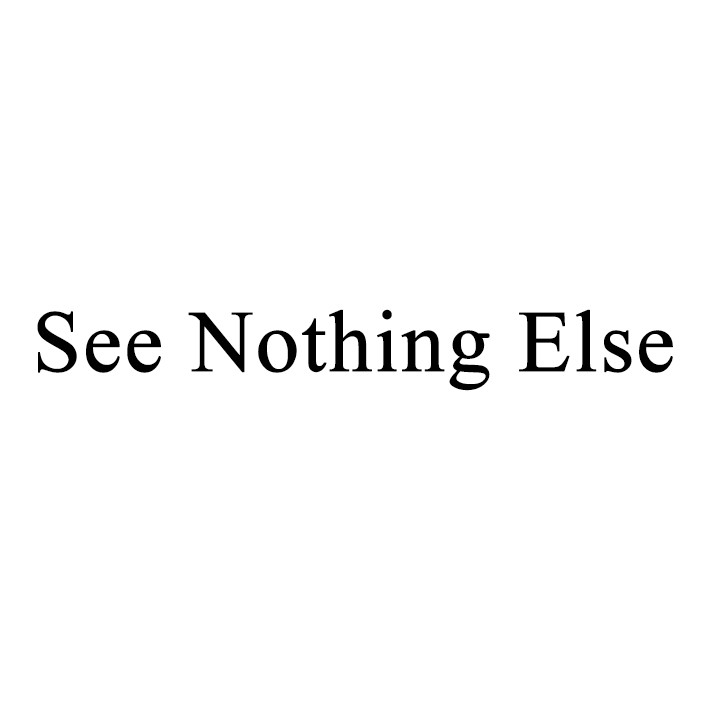 see nothing else