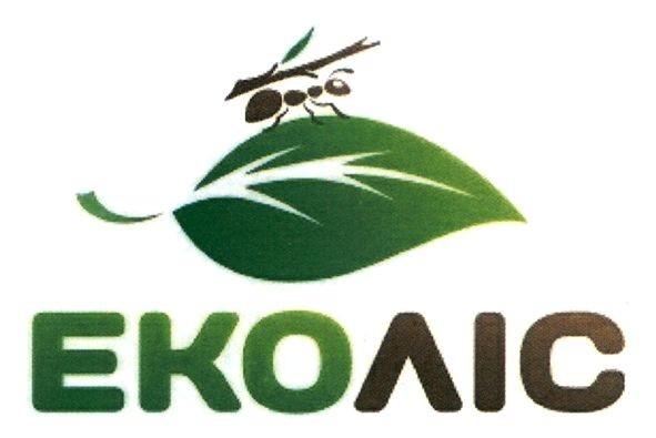 еко ліс