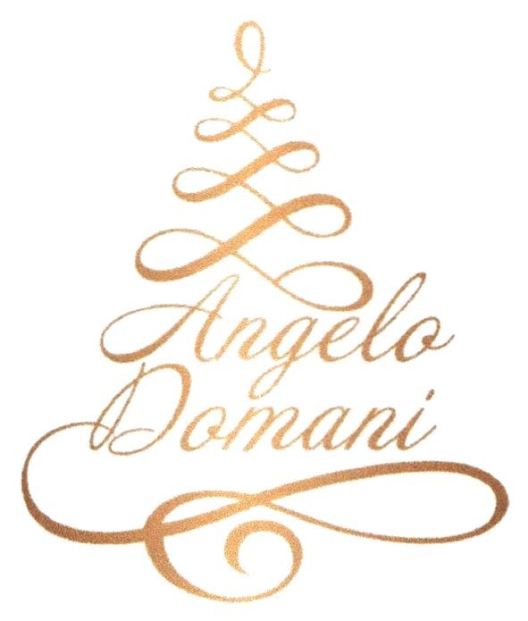 angelo domani