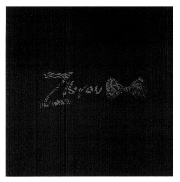 zibrov