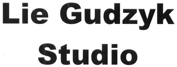 lie gudzyk studio
