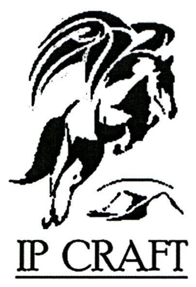 ip craft
