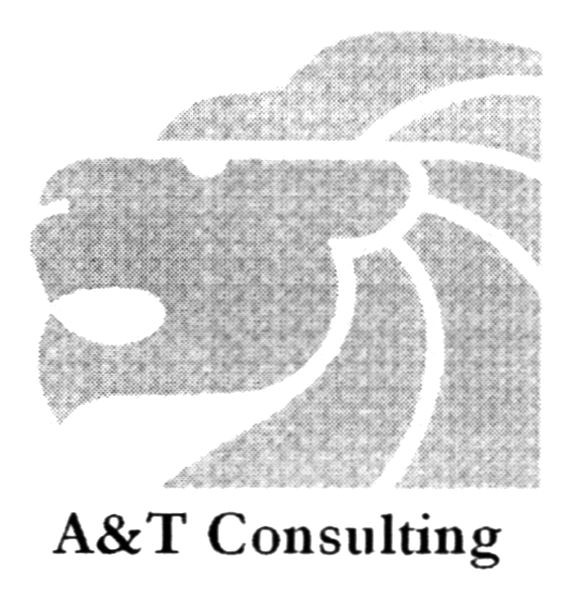 a&t consulting