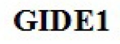 gide1