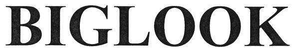 biglook