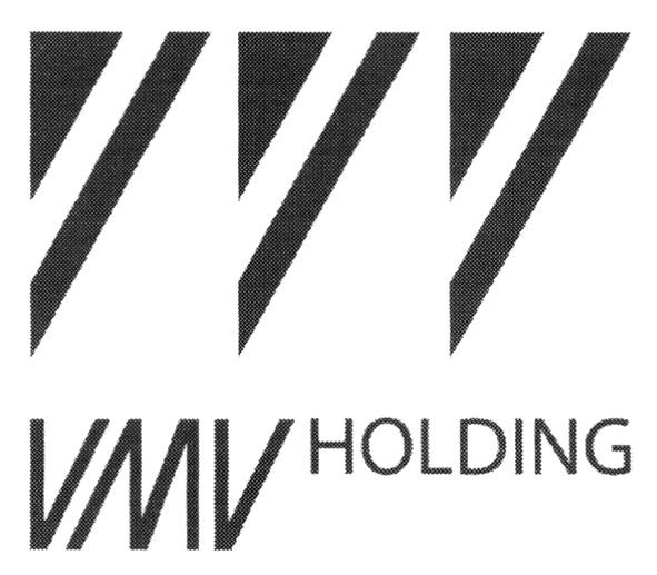 vmv holding