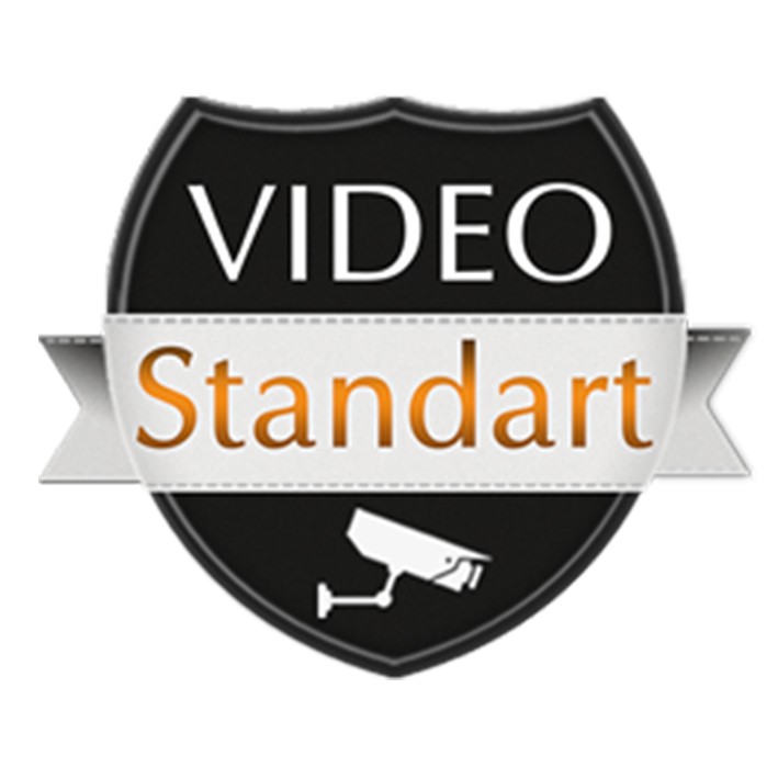 video standart