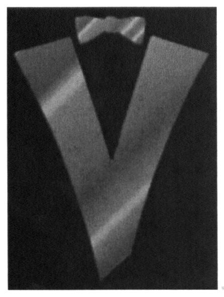 v