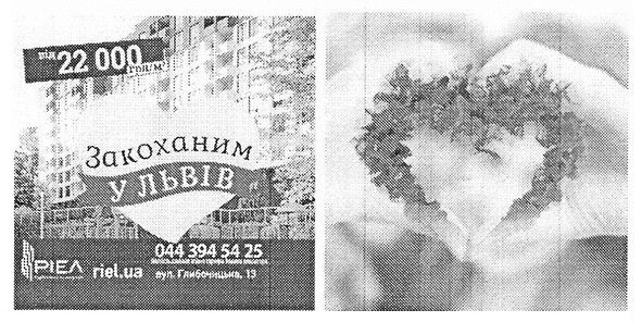 закоханим у львів