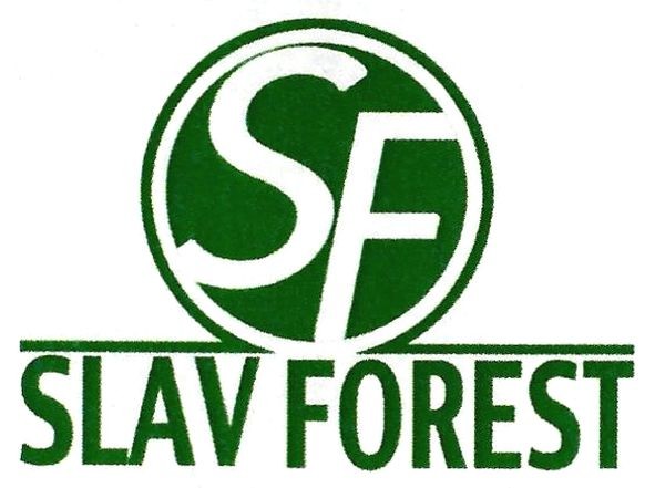 slav forest