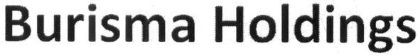 burisma holdings