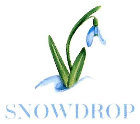 snowdrop