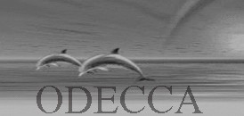 odecca