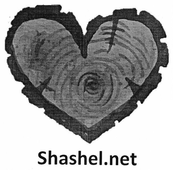shashel.net