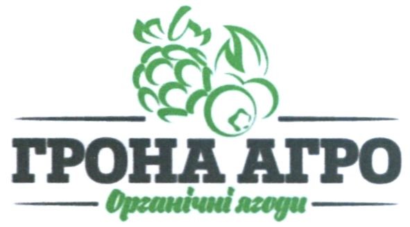 органічні ягоди