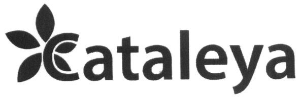 cataleya