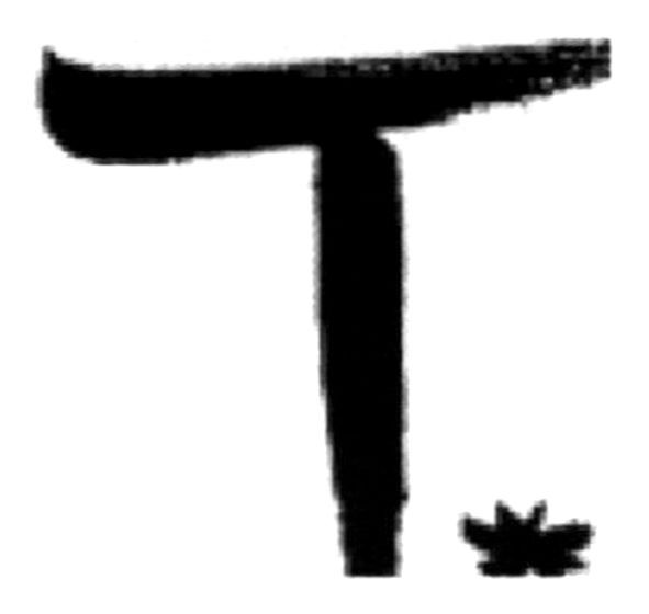 т