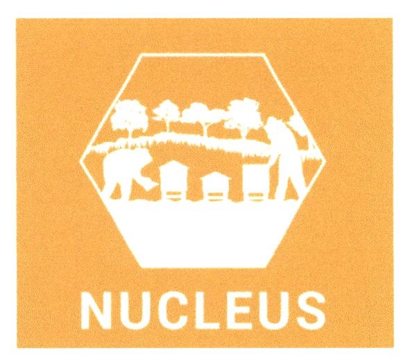 nucleus