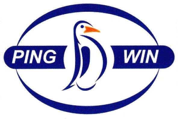 ping win