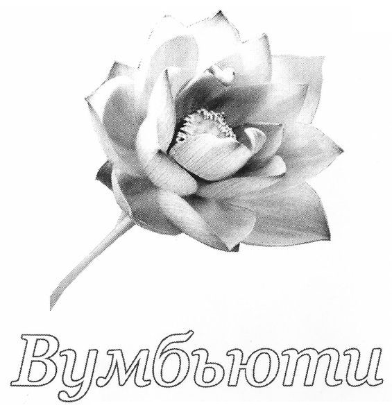 вумбьюти