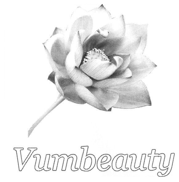 vumbeauty