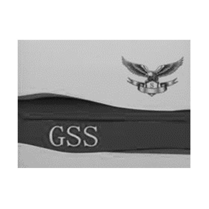 gss