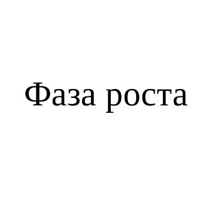 фаза роста