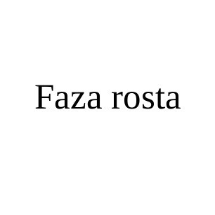 faza rosta