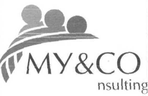 my&co nsulting