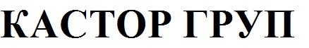 кастор груп