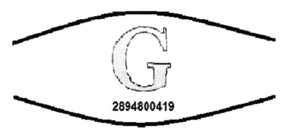 2894800419