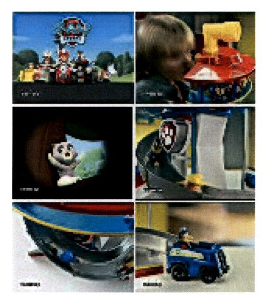 paw patrol