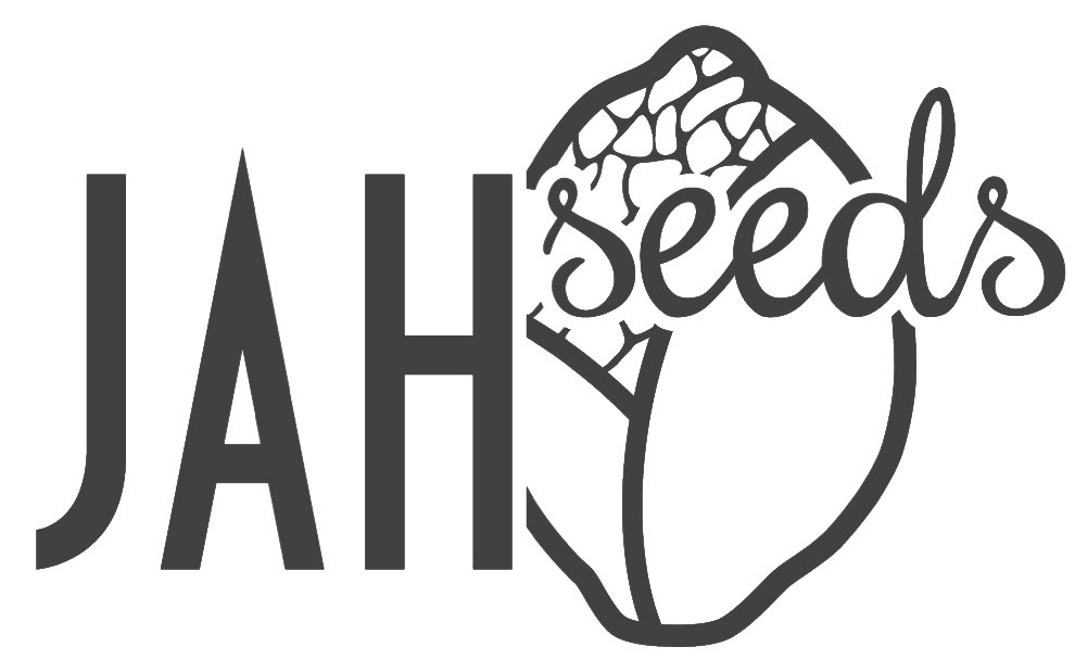 jah seeds