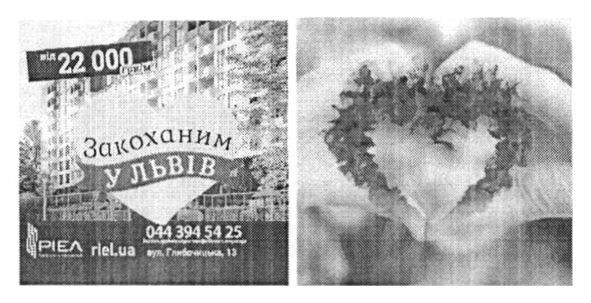 закоханим у львів