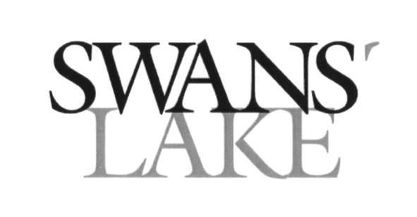 swans lake