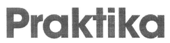 praktika