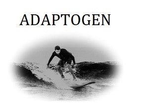 adaptogen