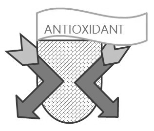 antioxidant