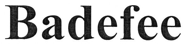 badefee