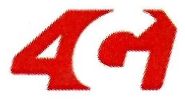 4g
