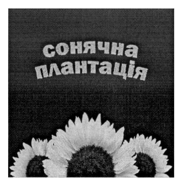 сонячна плантація