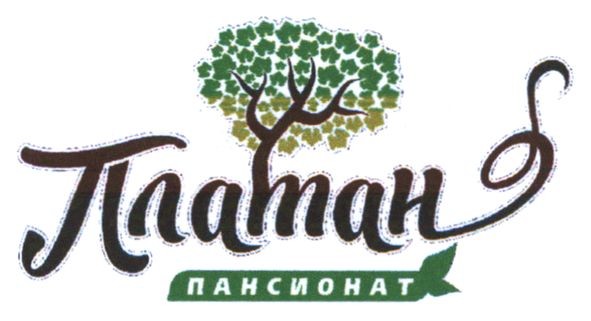 платан пансионат