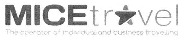 the operator of individual and business trovelling