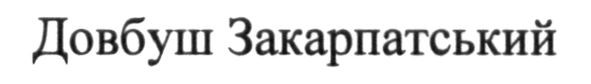 довбуш закарпатський