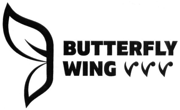 butterfly wing