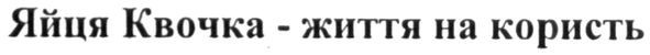 яйця квочка-життя на користь