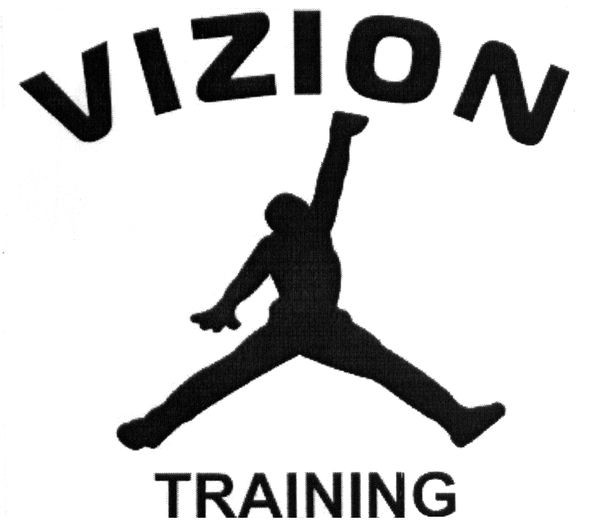 vizion training