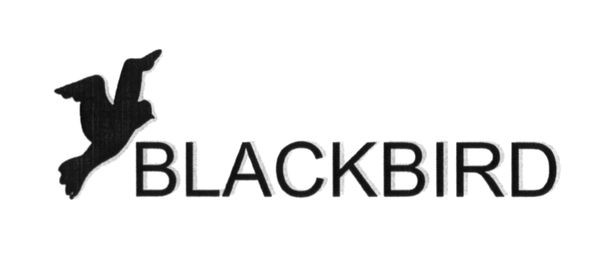 blackbird
