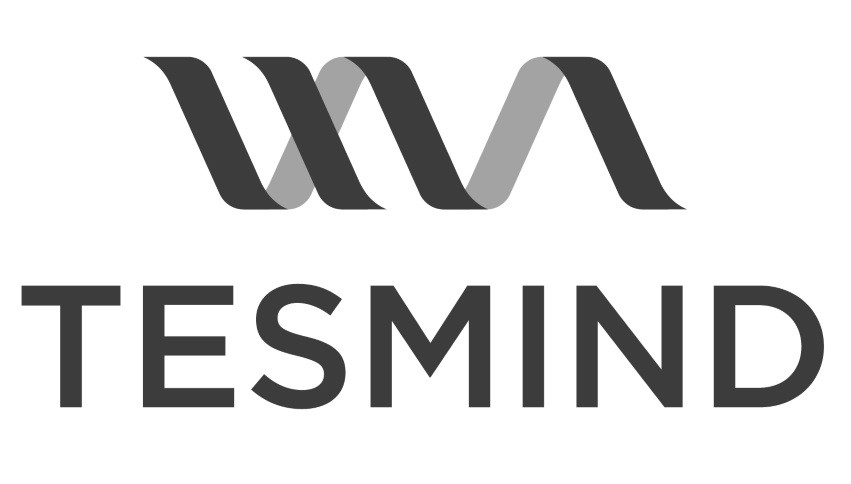 tesmind
