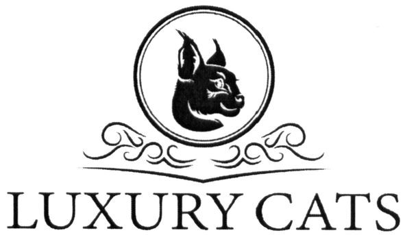 luxury cats